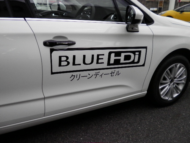 BLUE HDIのC4が届きました！