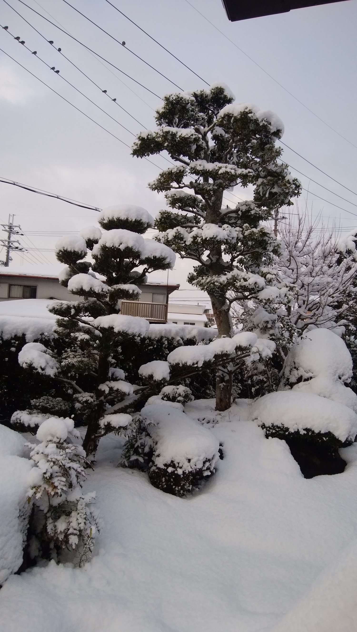 冬の晴天日和