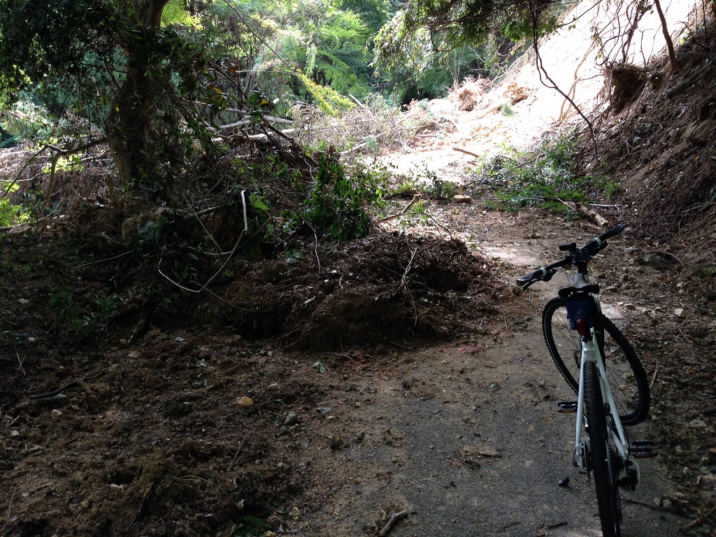 自転車でヒルクライム