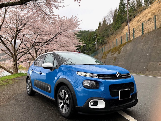 SPRING SUV キャンペーン