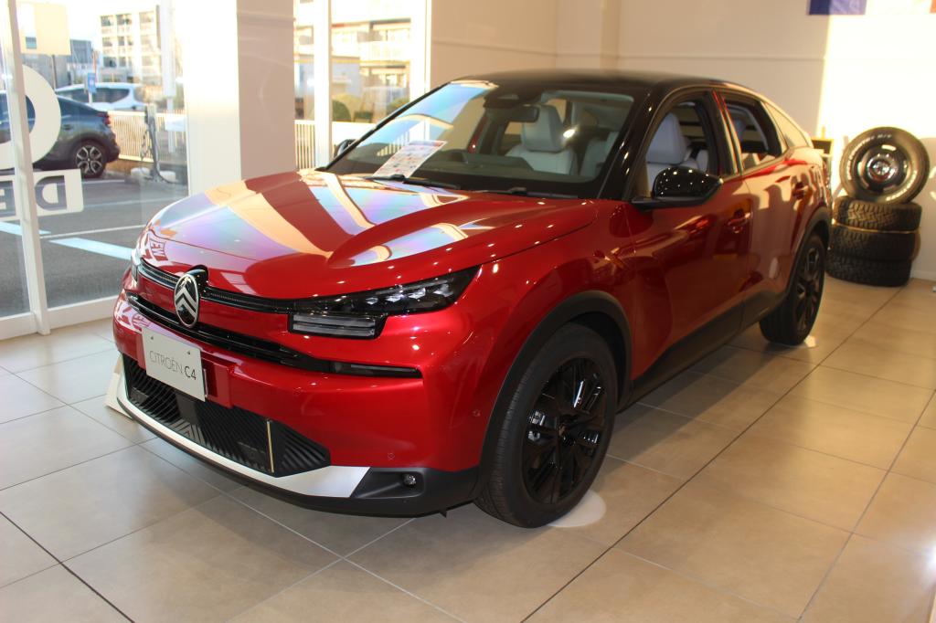 さあっ後半戦！！